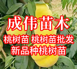 山東成偉現代農業科技有限公司 